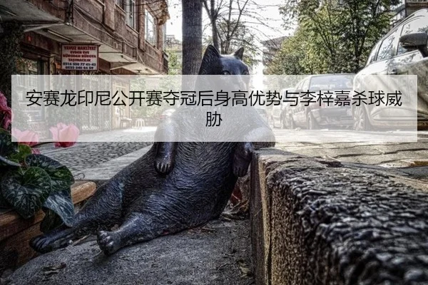 安赛龙印尼公开赛夺冠后身高优势与李梓嘉杀球威胁